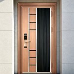 Elegant Modern Entrance Door