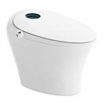 Smart Toilet