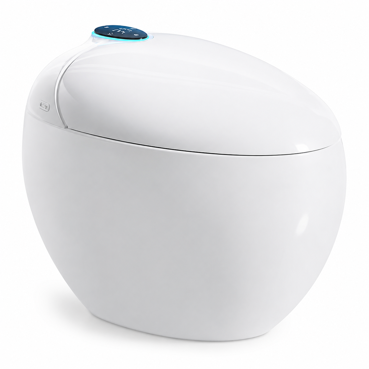 Smart Toilet