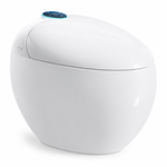 Smart Toilet